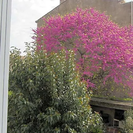 Aude Cite-city Bed & Breakfast 3*