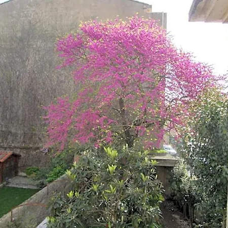 Aude Cite-city فندق مبيت وإفطار قرقشونه