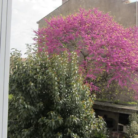 Bed & Breakfast Aude Cite-city