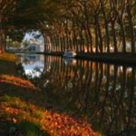 Aude Cite-city